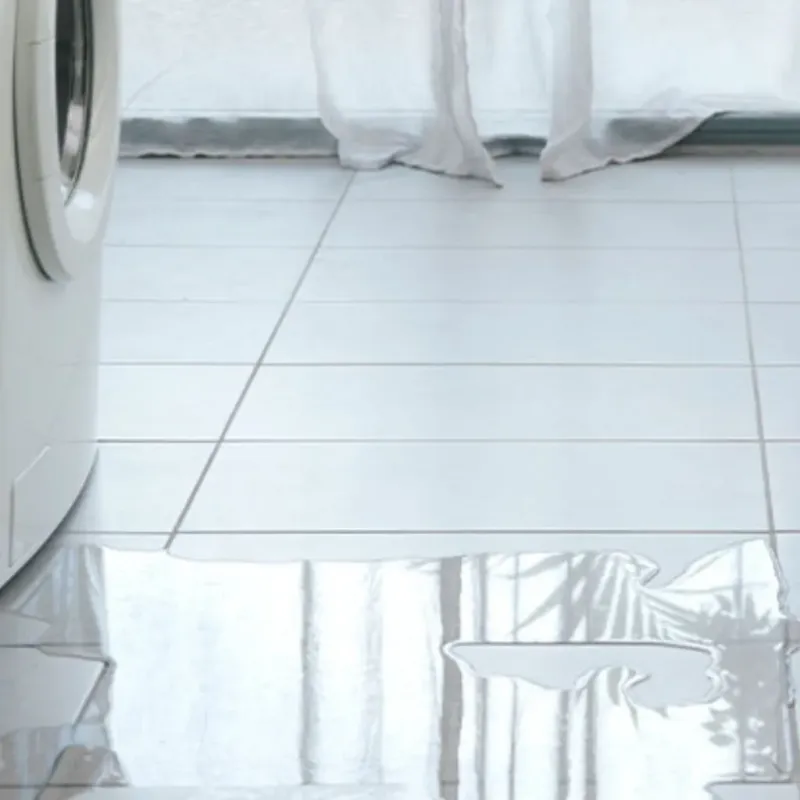 Appliance Leak Cleanup in Chincoteague, VA